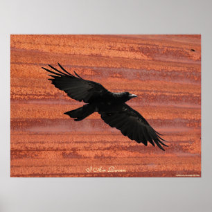 Ich BIN RAVEN III Flying Black Raven Art Poster