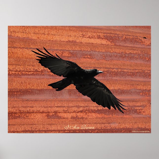 Ich BIN RAVEN III Flying Black Raven Art Poster (Vorne)