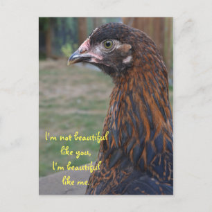 Ich bin schön... Cochin Chicken Postcard Postkarte