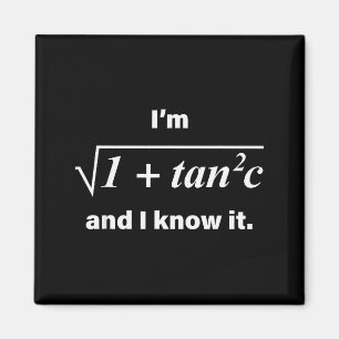 Ich bin Sek C und ich weiß es Lustiger Mathe-Wortw Magnet