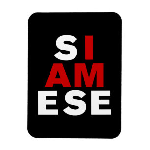 ICH BIN SIAMESE MAGNET