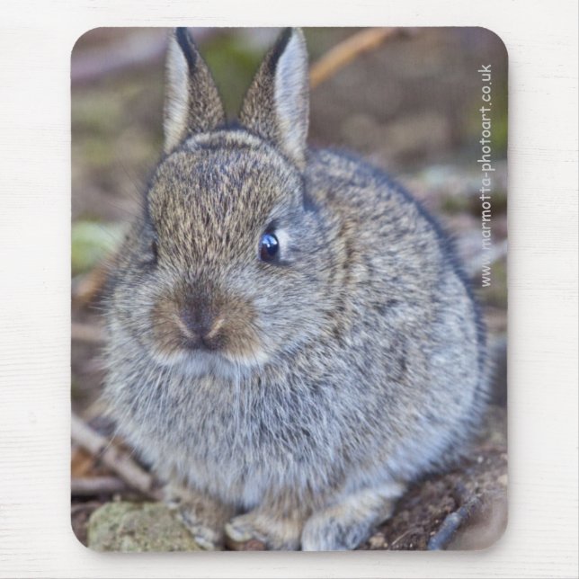 Ich bin so eine Süsse! Mousemat Mousepad (Vorne)