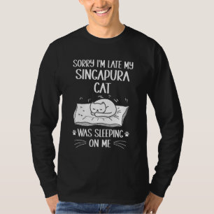 Ich bin spät dran, meine Singapura-Katze hat auf m T-Shirt