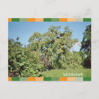 Ich bin stark postkarte