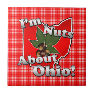 Ich bin über Ohio, lustige rote Rosskastanien-Nus Fliese