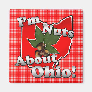 Ich bin über Ohio, lustige rote Rosskastanien-Nus Magnet