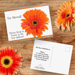 Ich bin umgezogen! Orange Daisy Mit Holz Postkarte