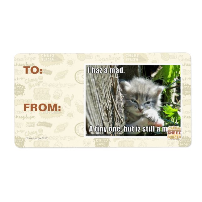 Ich bin verrückt (Vorne)