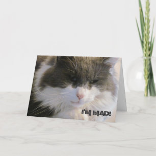 Ich bin verrückt! Dass ich Ihre Geburtstagskatze v Karte