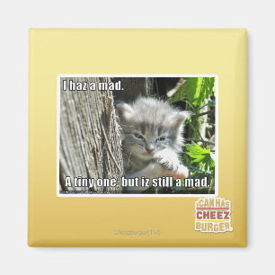 Ich bin verrückt magnet