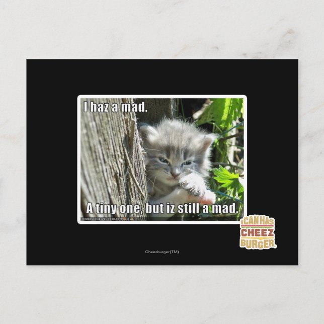 Ich bin verrückt postkarte (Vorderseite)