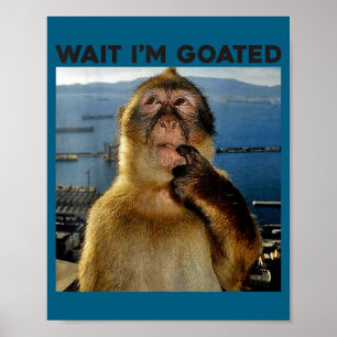 Ich bin Wait Goated Denkender Affe Meme Poster