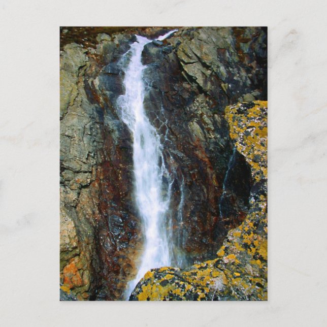 ICH BIN ZU ALLEIN AUF DER WELT POSTKARTE (Vorderseite)