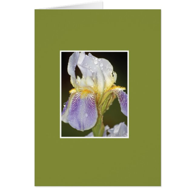 Ich blühe mit Ihnen (Vorne)