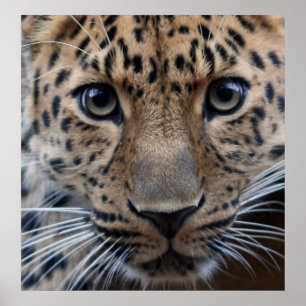 Ich brauche dich... poster