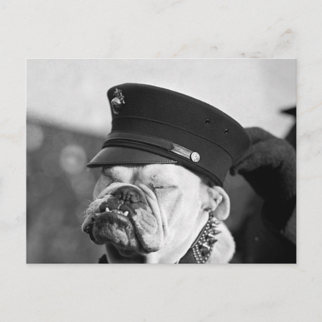 Ich brauche ein Nickerchen: 1923 Postkarte (Vorderseite)