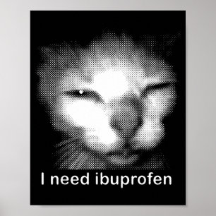 Ich brauche Ibuprofen Katzen-Meme Lustige alberne  Poster