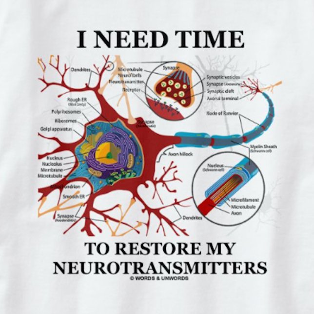 Ich brauche Zeit, um meine Neurotransmitter wieder T-Shirt (Tee featuring neuron/synapse for anyone who needs time to restore his or her neurotransmitters)