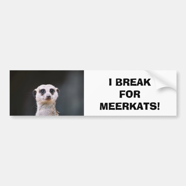 Ich breche für Meerkats! Autoaufkleber (Vorne)