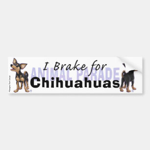Ich bremse für Chihuahuas Autoaufkleber