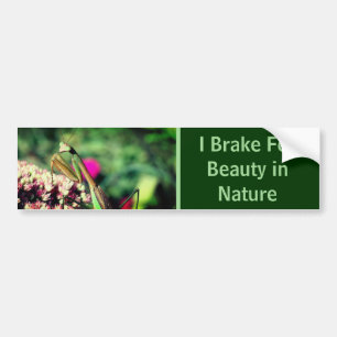 Ich bremse für Schönheit Gottesanbeterin Natur  Autoaufkleber
