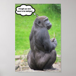 Ich dachte, du wärst intelligent. poster