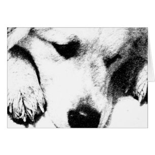 Ich dachte nicht, Card