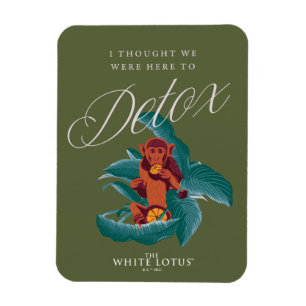 Ich dachte, wir wären hier zu Detox - der weiße Lo Magnet