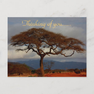 Ich denke an Dich Afrika Postkarte