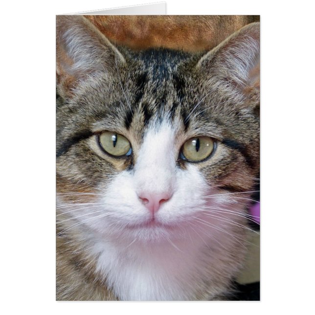 Ich denke darüber nach (Vorne)