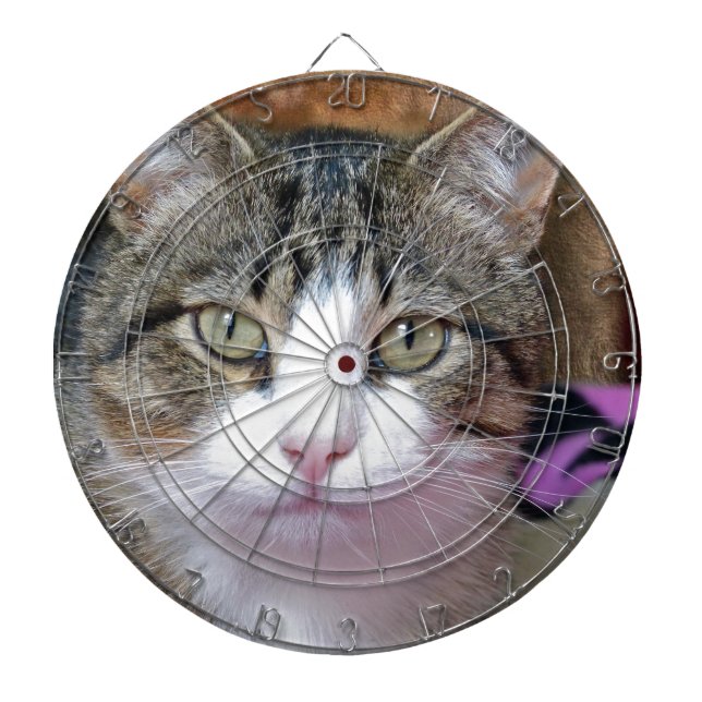 Ich denke darüber nach dartscheibe (vorne)