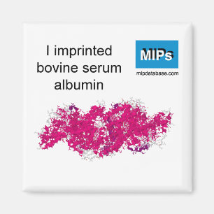 Ich drückte BSA-Magnet aus Magnet