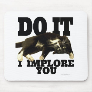 Ich empfehle Ihnen Motivierend Cat Foto Sprichwort Mousepad