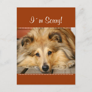 Ich entschuldige mich für Postkarte