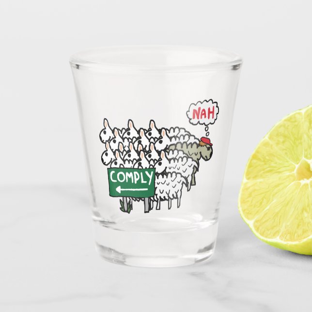 Ich erfülle mich nicht schnapsglas (Vorderseite)