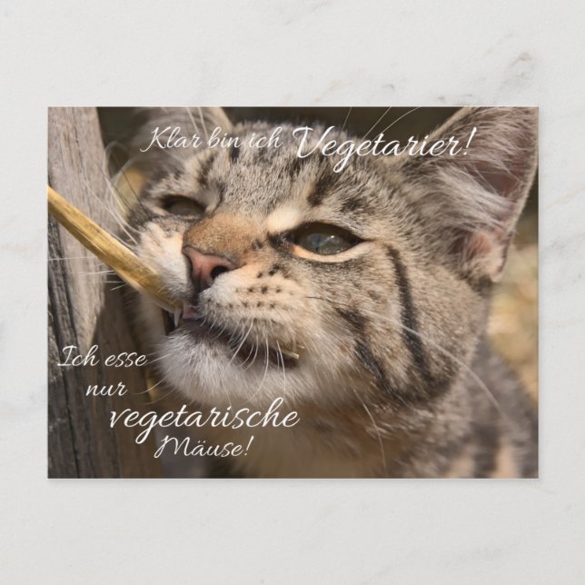 Ich esse nur vegetarische Mäuse... Postkarte (Vorderseite)