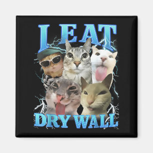 Ich esse Trockenwand Lustiges Katzen-Meme  Magnet