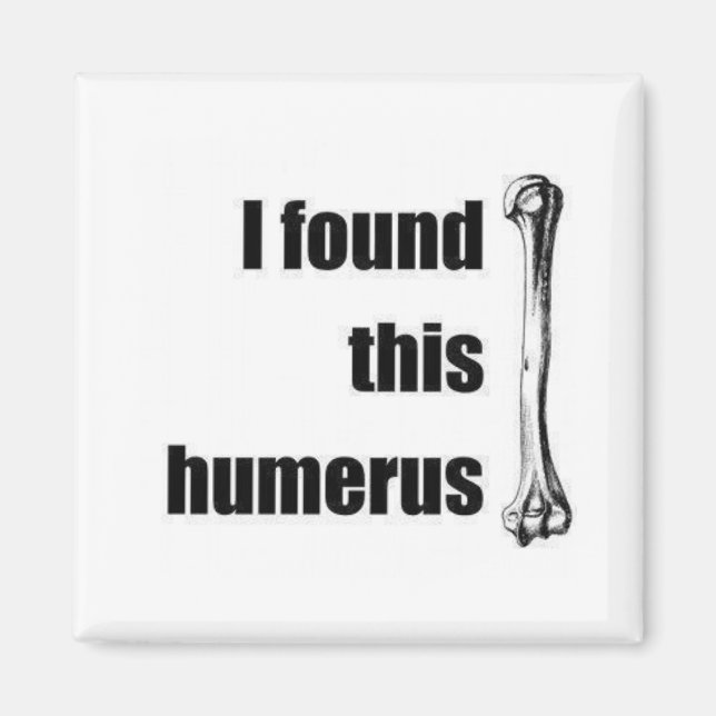 Ich fand diesen Humerus Magnet (Vorne)