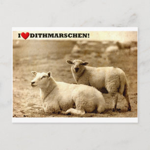 Ich finde Dithmarschen toll! Postkarte