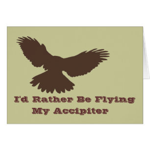 Ich fliege lieber mit Karte