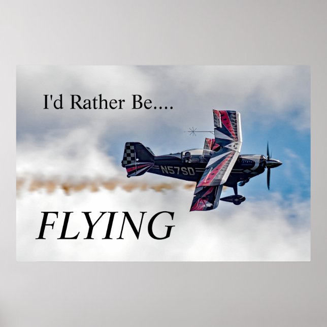Ich fliege lieber. poster (Vorne)