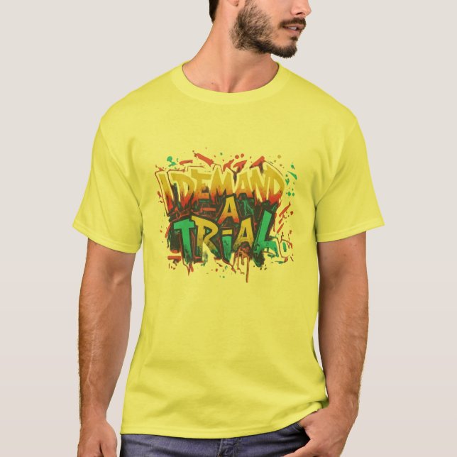 Ich fordere eine Prüfung T,Shirt T-Shirt (Vorderseite)