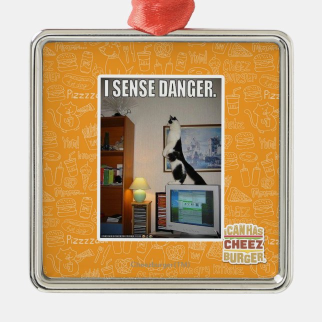 Ich frage Gefahr ab Ornament Aus Metall (Vorne)