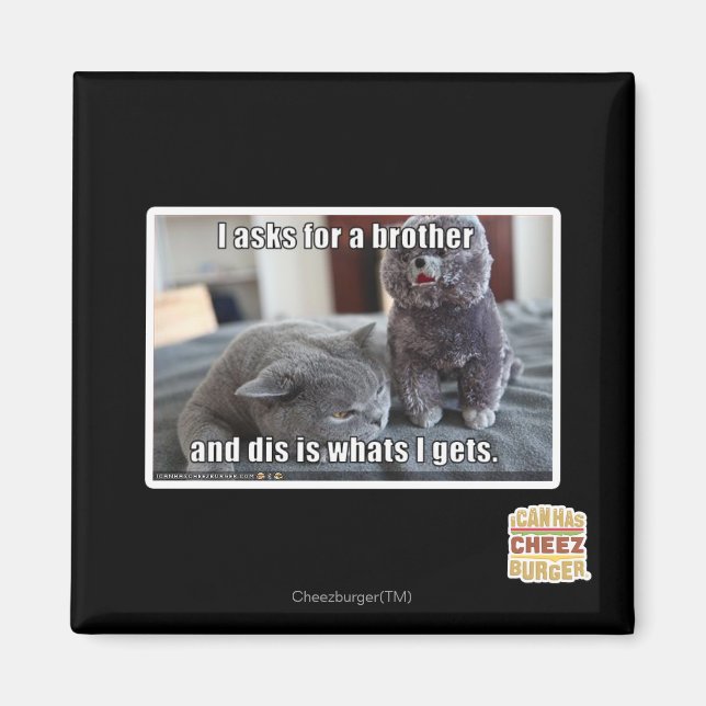 Ich fragte für einen Bruder Magnet (Vorne)