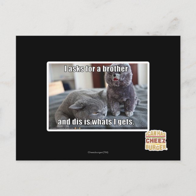Ich fragte für einen Bruder Postkarte (Vorderseite)