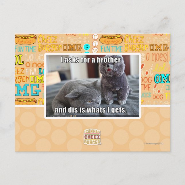 Ich fragte für einen Bruder Postkarte (Vorderseite)