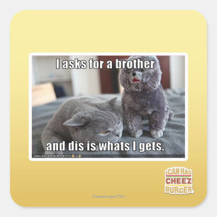 Ich fragte für einen Bruder Quadratischer Aufkleber