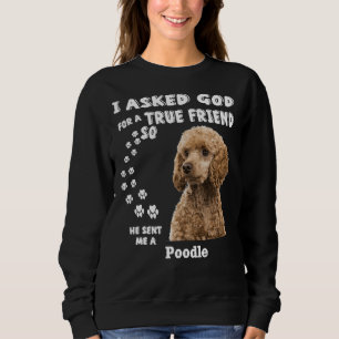 Ich Fragte Gott für einen wahren Freund, also schi Sweatshirt