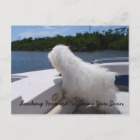 Ich freue mich darauf, dich bald zu sehen