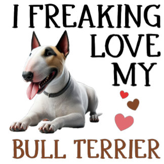 Ich friere Liebe mein Bull Terrier T-Shirt